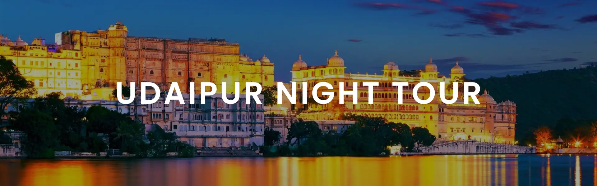 Udaipur night tour
